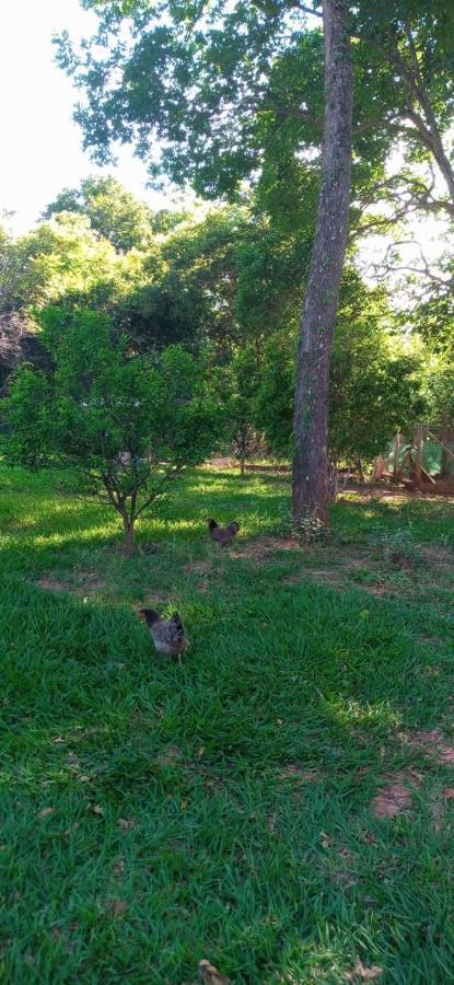 Chales Jardim Da Serra Serra do Cipo National Park Zewnętrze zdjęcie